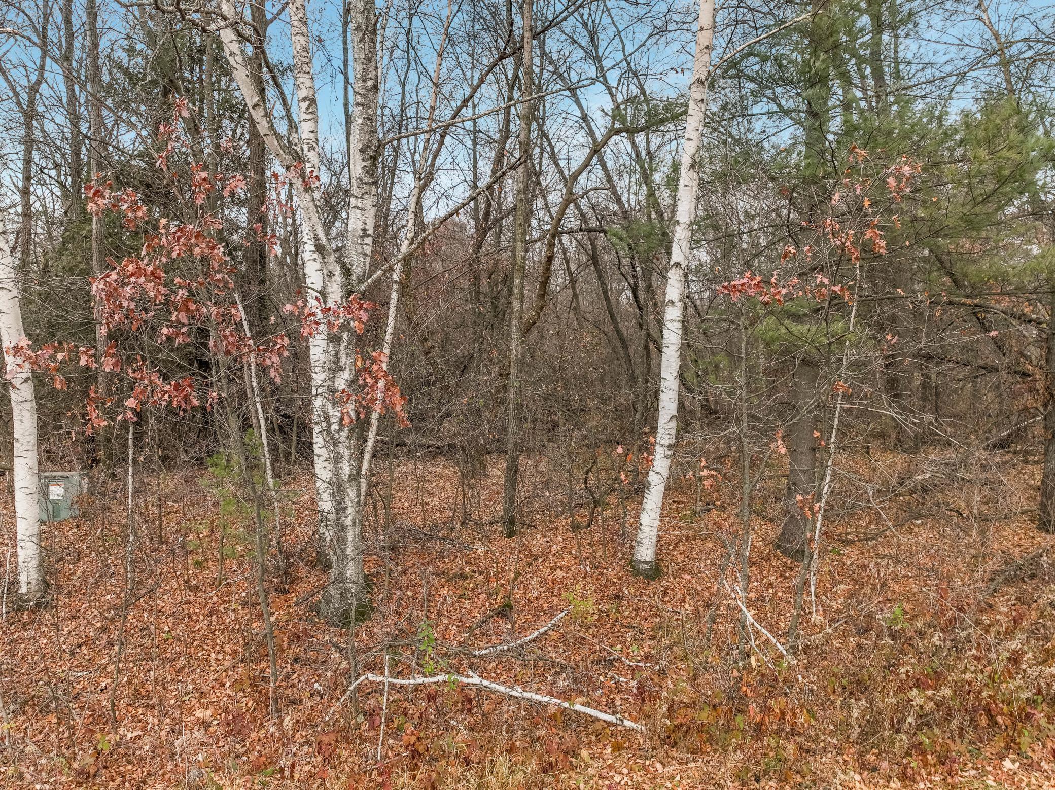 29 29 1/2 Street Chetek, WI 54728 - Photo 3 of 16