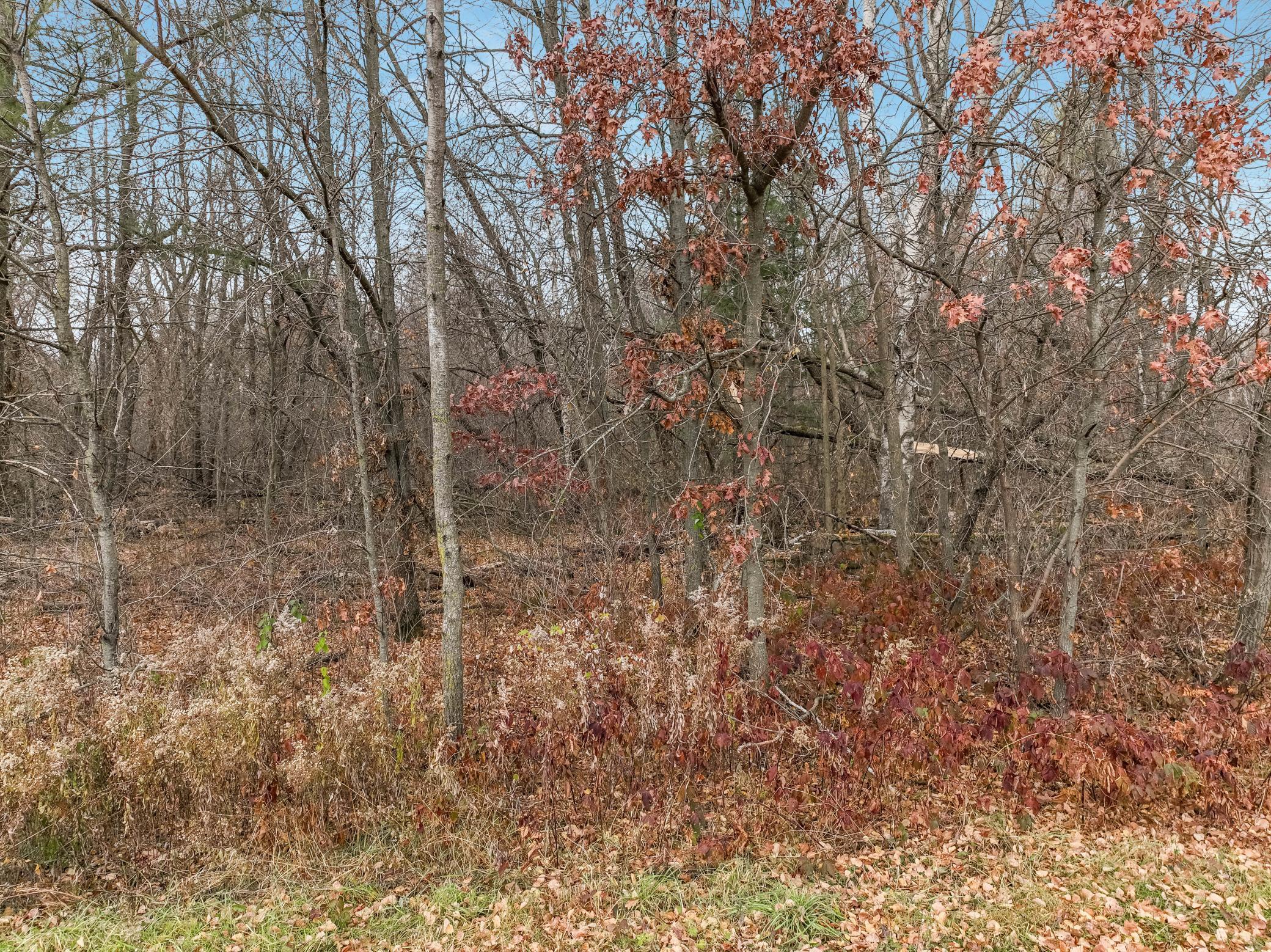 29 29 1/2 Street Chetek, WI 54728 - Photo 4 of 16