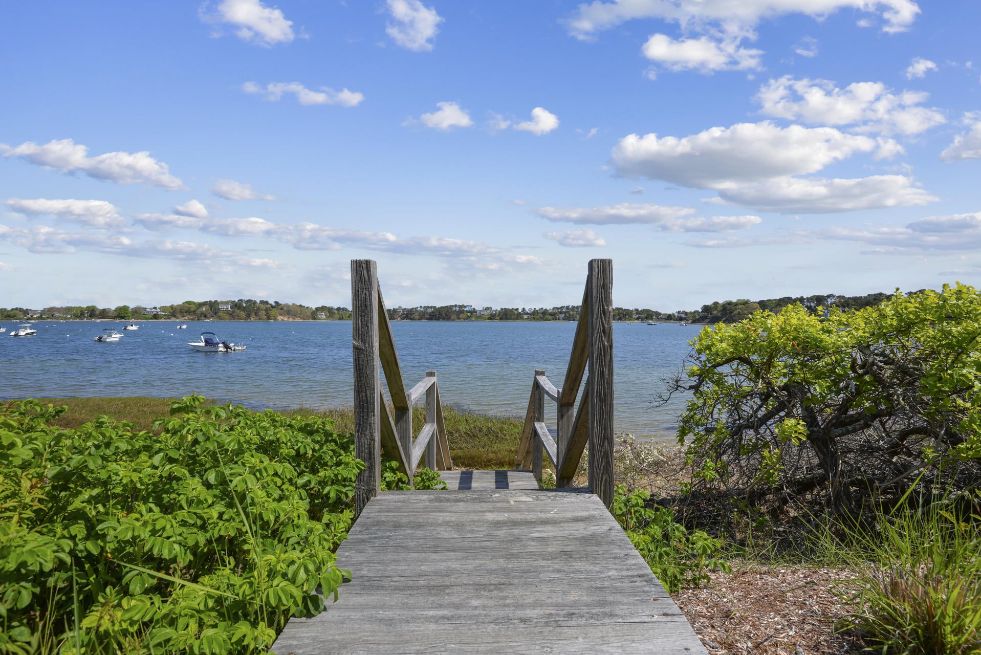 159 Seapine Road North Chatham, MA 02650 - Photo 5 of 31 a view of a garden with lawn chairs