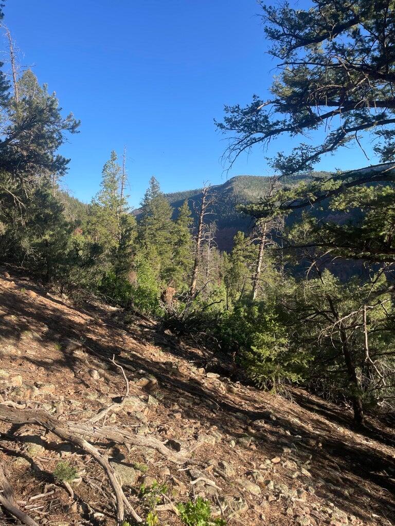 1 58p Road Sawpit, CO 81430 - Photo 26 of 34 20240523184820005565000000-o