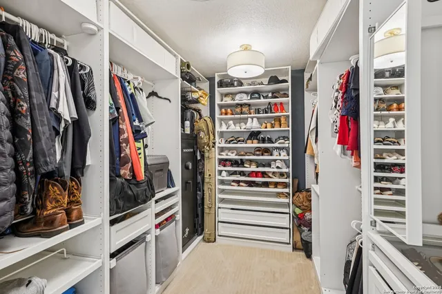 a view of a backyard with a tree