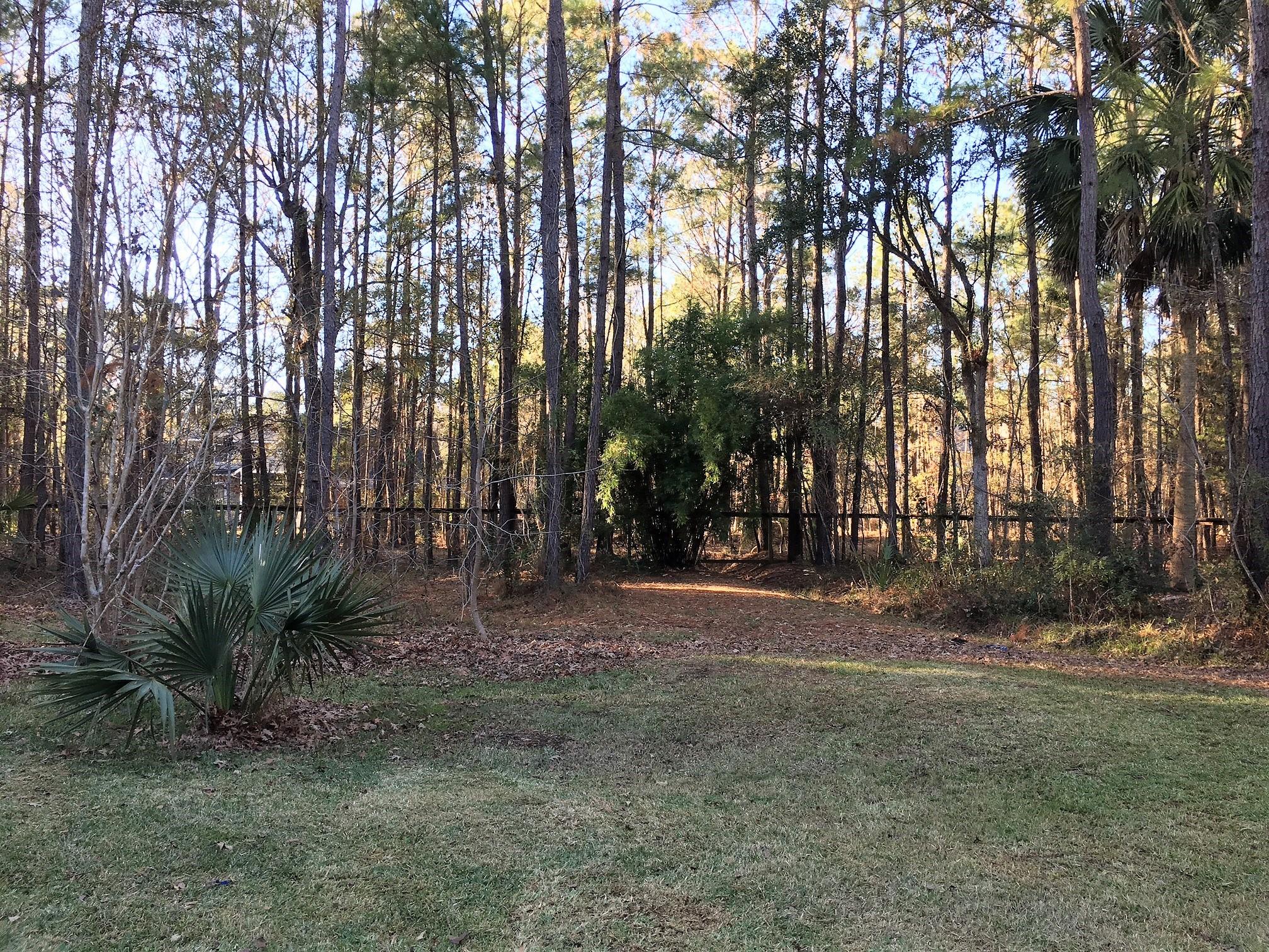 527 Commonwealth Road Mount Pleasant, SC 29466 - Photo 56 of 58 IMG_4460