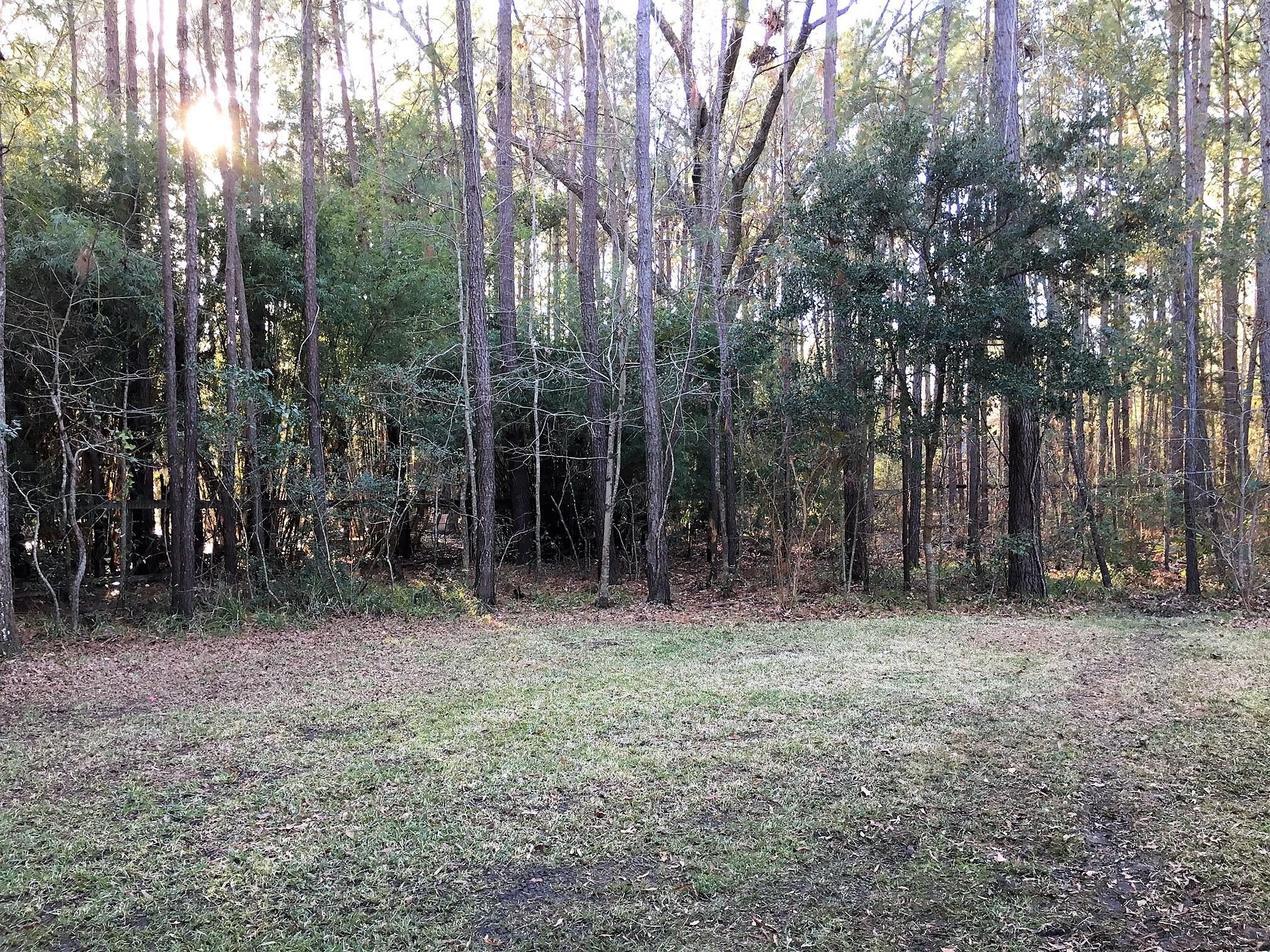 527 Commonwealth Road Mount Pleasant, SC 29466 - Photo 57 of 58 IMG_4461