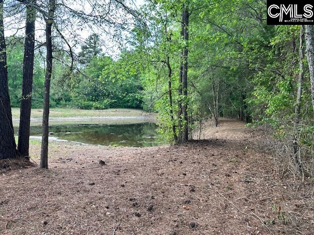 1426 West Creek Road Leesville, SC 29070 - Photo 11 of 70