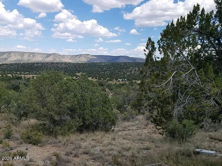 56766 North Bridge Canyon Road, Unit 4367 Seligman, AZ 86337 - Photo 5 of 9