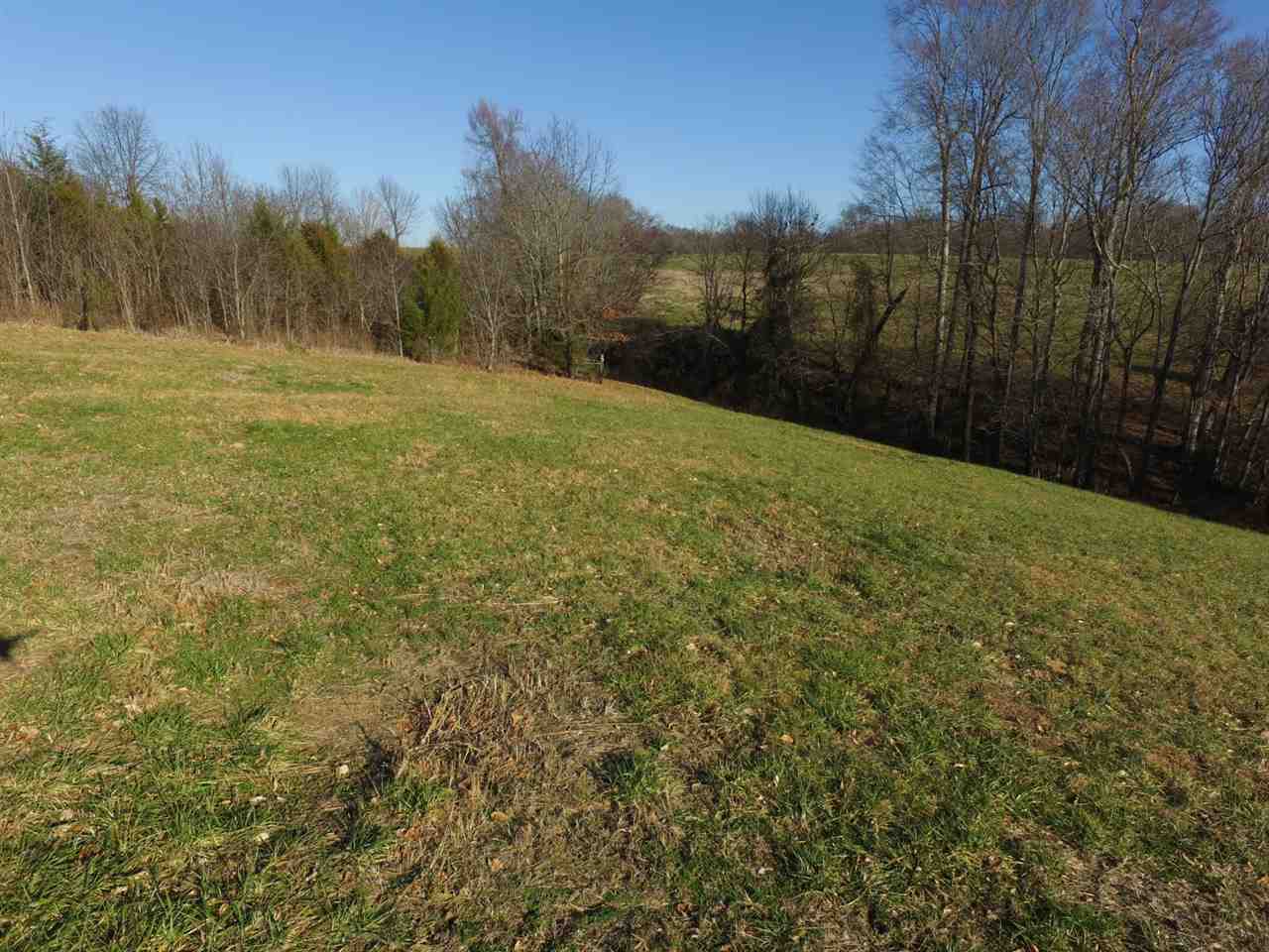 23-acres Cemetery Road Scottsville, KY 42164 - Photo 13 of 32 Gallery Image 13