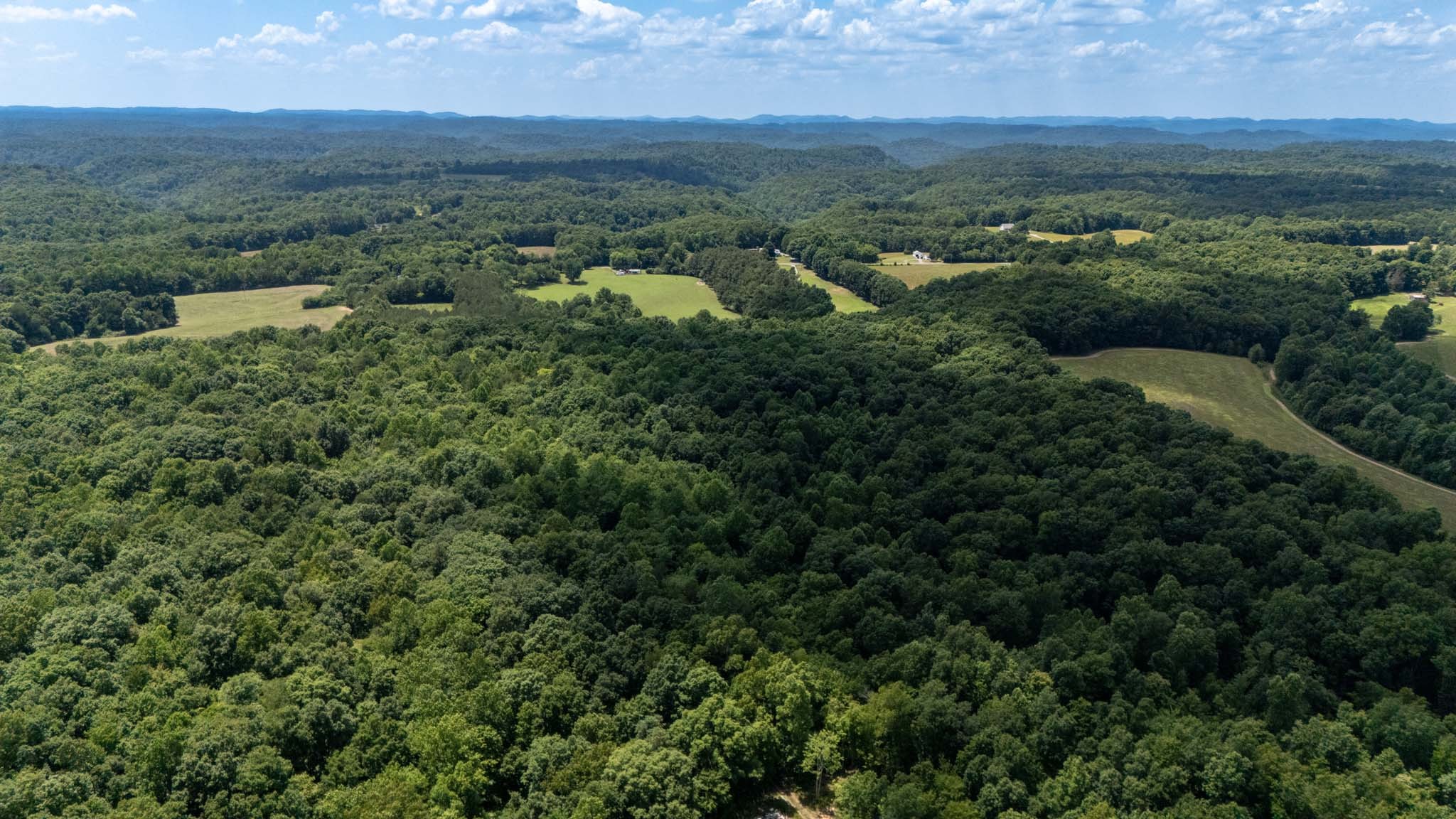 3772 Pea Ridge Road Liberty, TN 37095 - Photo 45 of 52