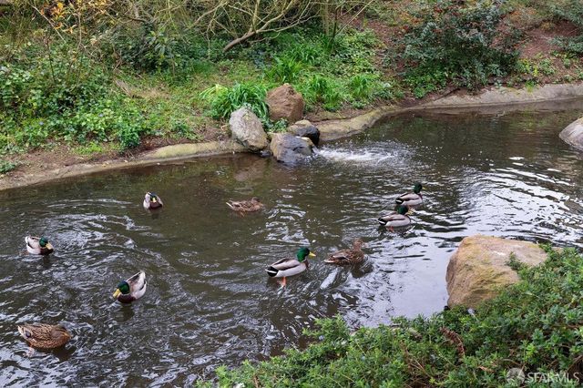 a view of a lake with a yard