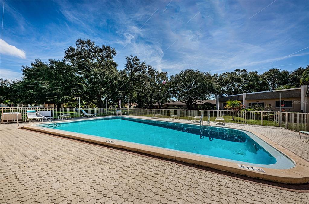 11511 113th Street, Unit 35E Largo, FL 33778 - Photo 57 of 77 a view of swimming pool with seating area and trees in the background
