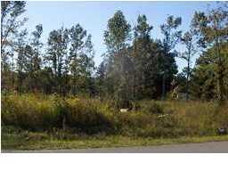 0 Thurgood Road Goose Creek, SC 29445 - Photo 3 of 3 Additional Photo