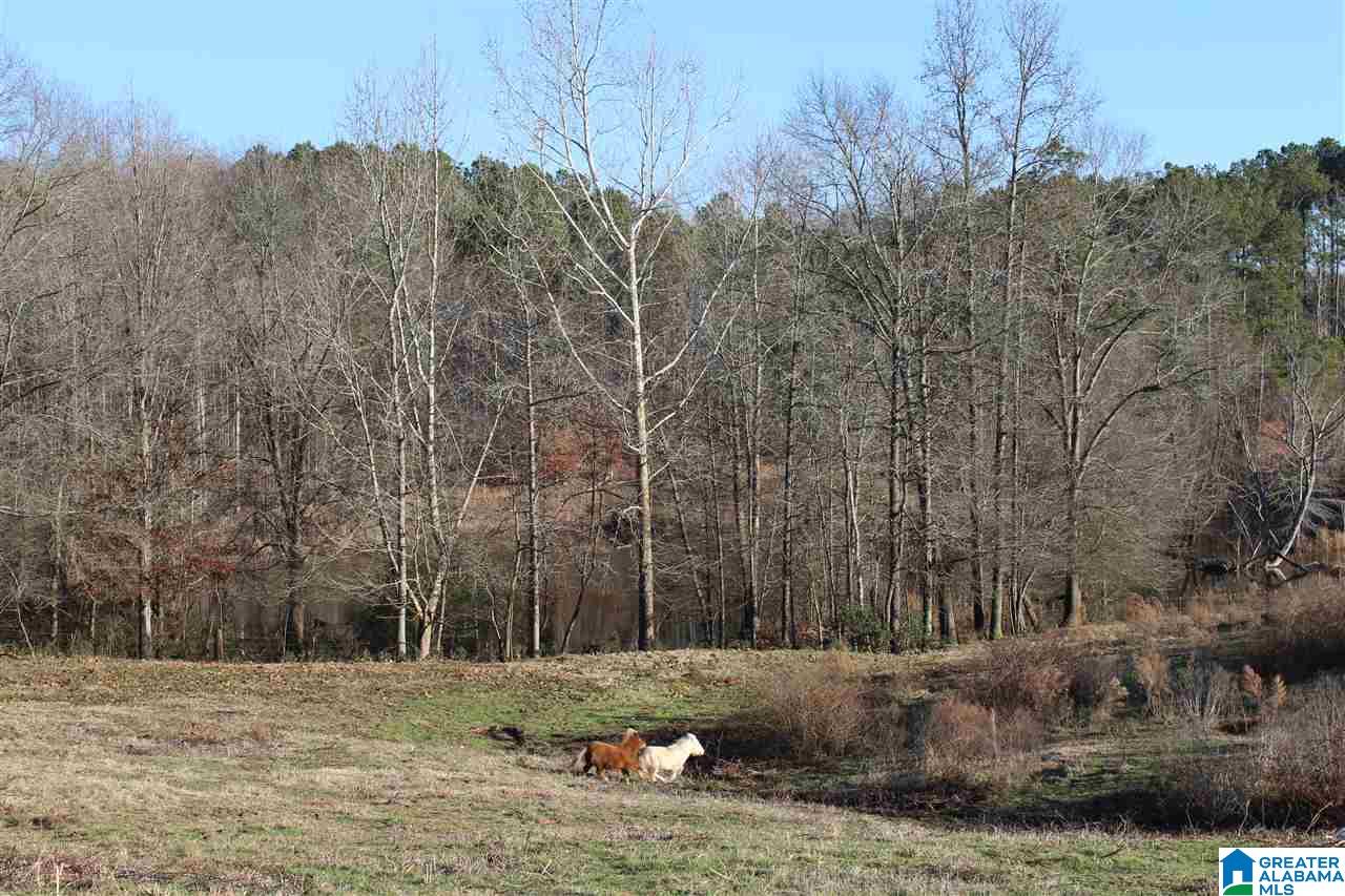 3601 Brookside Road Brilliant, AL 35548 - Photo 18 of 33