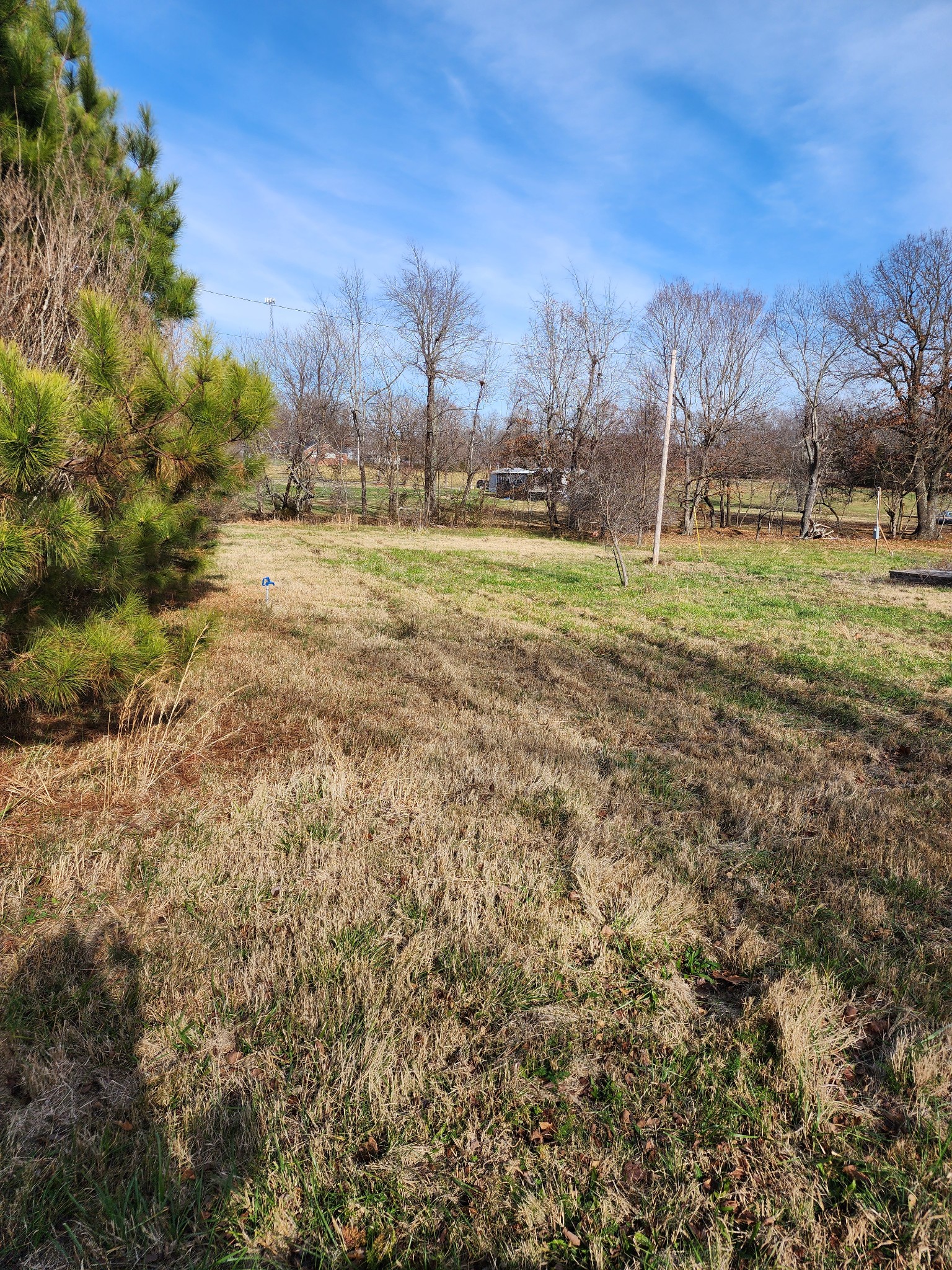10114 S Road Cadiz, KY 42211 - Photo 3 of 3 Gallery Image 3