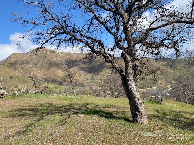 0 Piute Meadows Road Caliente, CA 93518 - Photo 17 of 18 Gallery Image 17