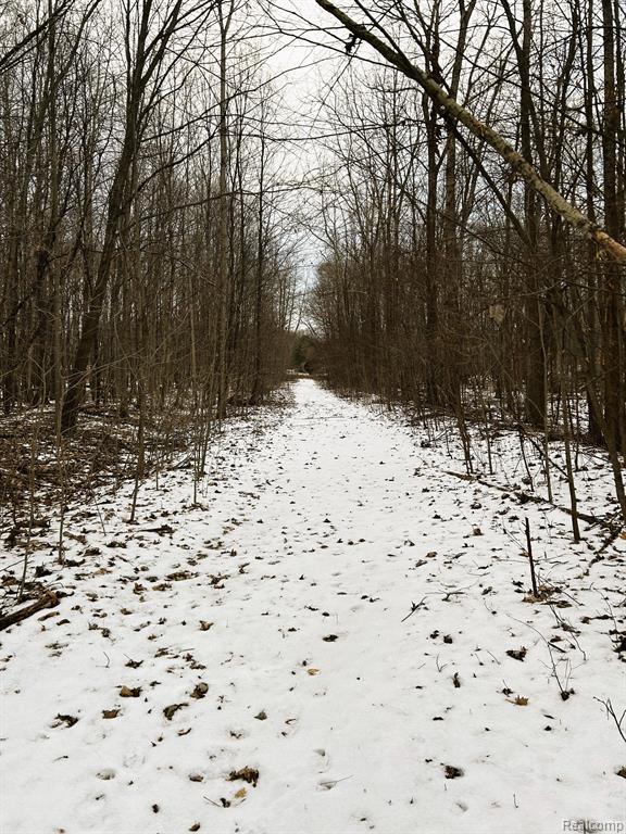 1726 Peavy Road Howell, MI 48843 - Photo 38 of 43