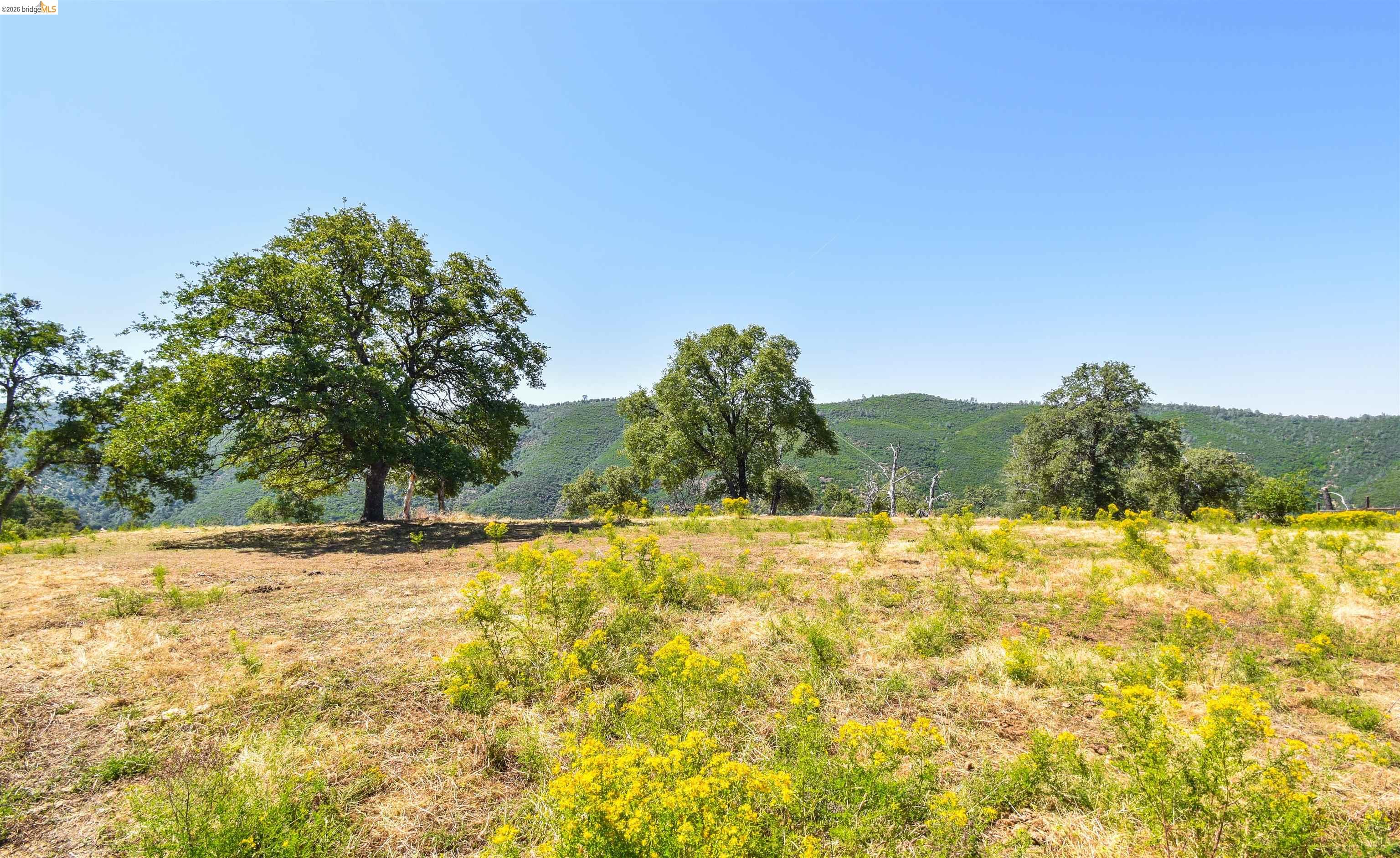45-ac Powell Ranch Road Sonora, CA 95370 - Photo 12 of 20