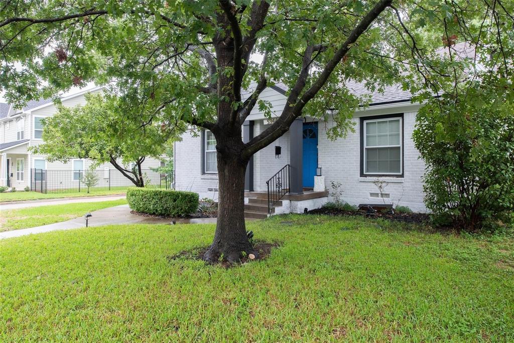 a view of a house with a yard and a large tree