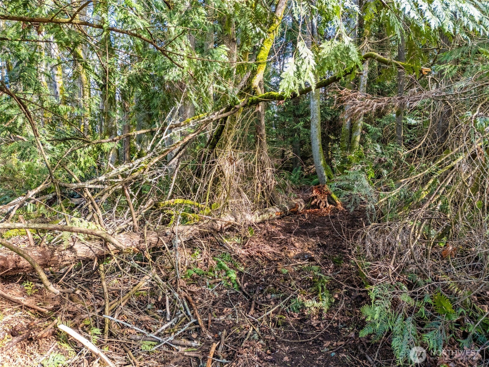 23300 Northeast Jefferson Point Road Kingston, WA 98346 - Photo 13 of 40