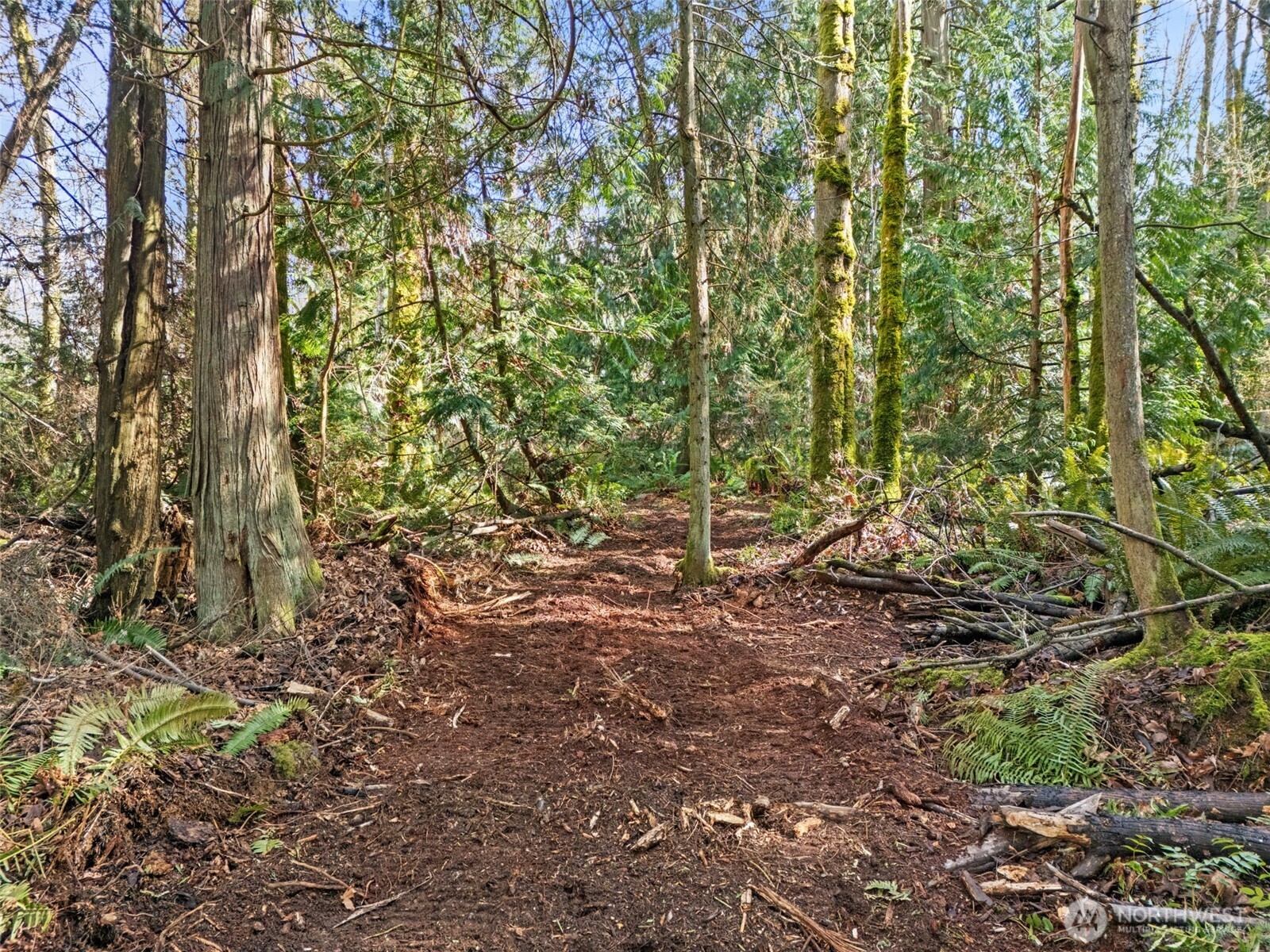 23300 Northeast Jefferson Point Road Kingston, WA 98346 - Photo 20 of 40