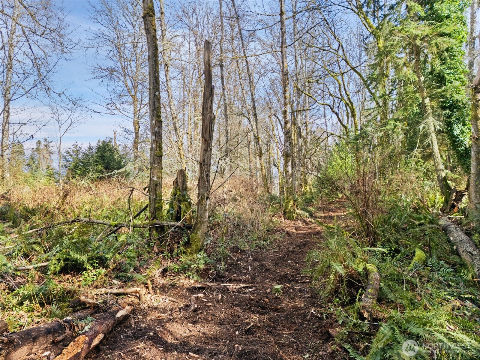 23300 Northeast Jefferson Point Road Kingston, WA 98346 - Photo 22 of 40