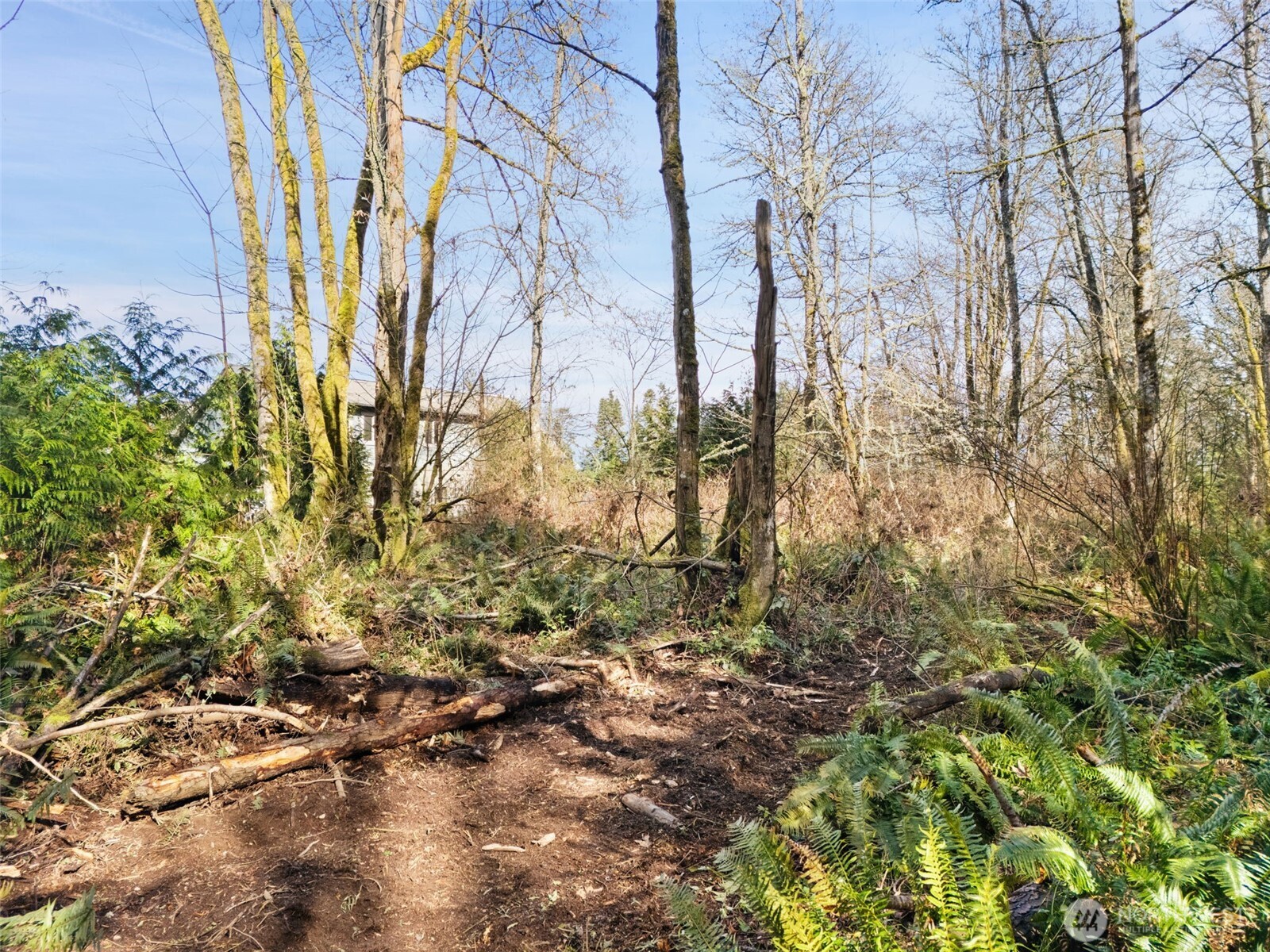 23300 Northeast Jefferson Point Road Kingston, WA 98346 - Photo 23 of 40