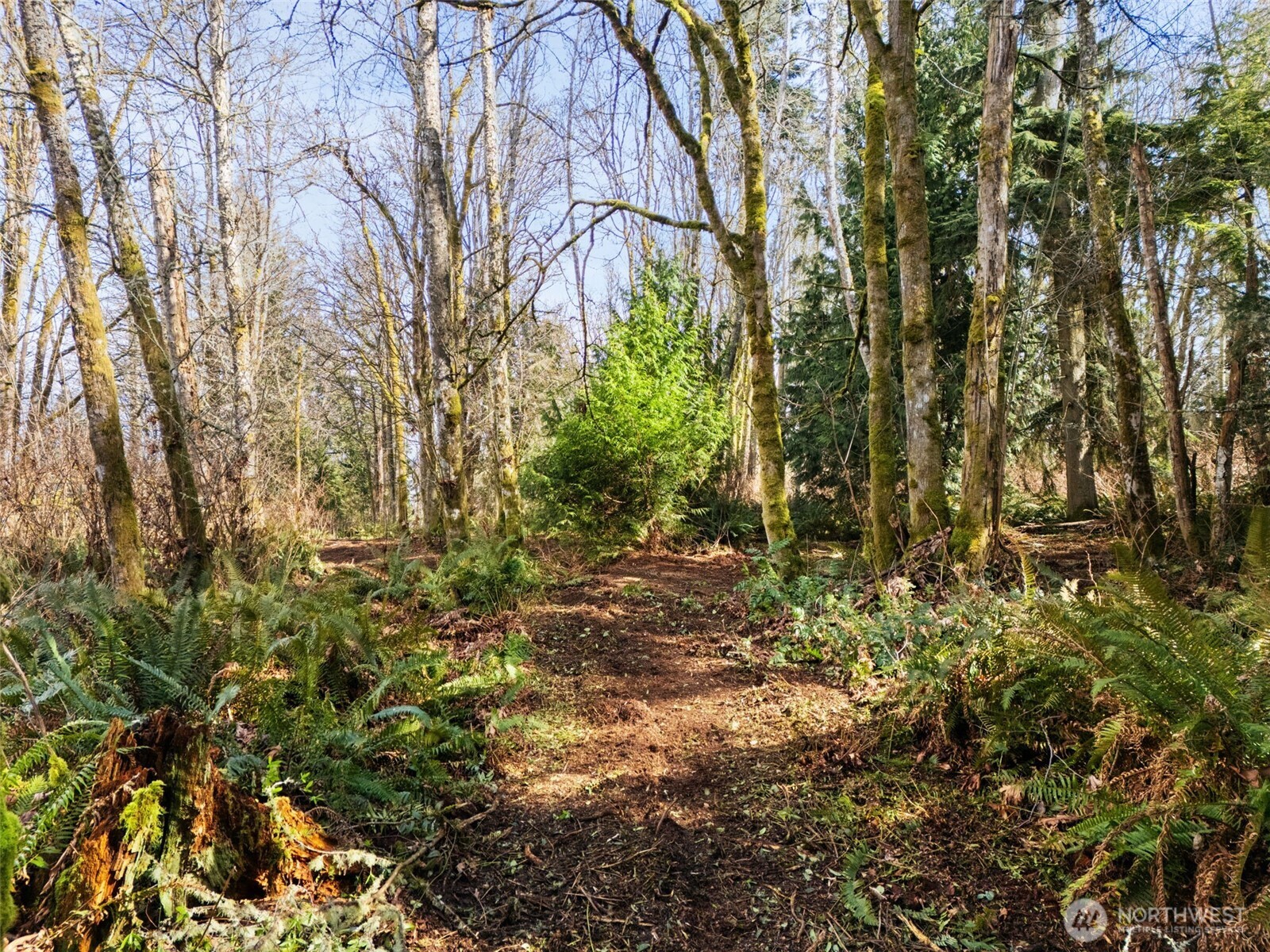 23300 Northeast Jefferson Point Road Kingston, WA 98346 - Photo 24 of 40