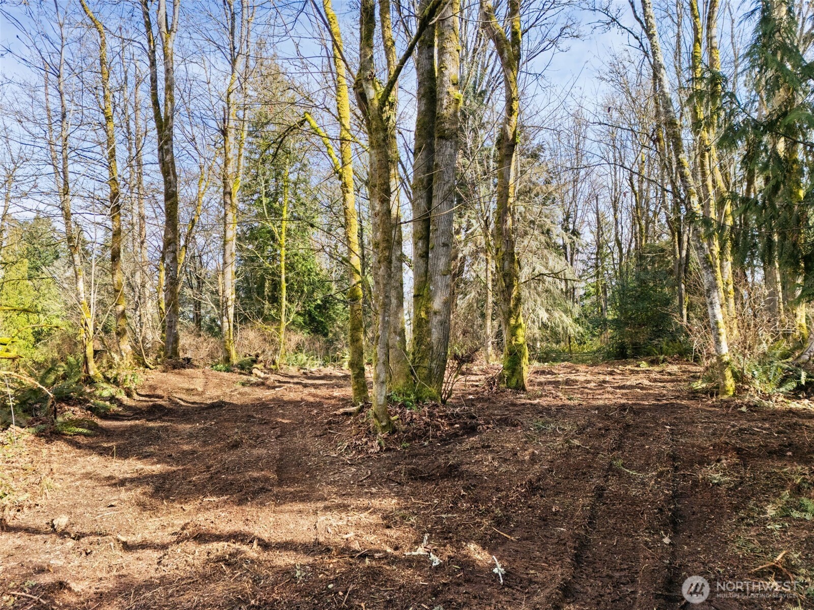 23300 Northeast Jefferson Point Road Kingston, WA 98346 - Photo 25 of 40