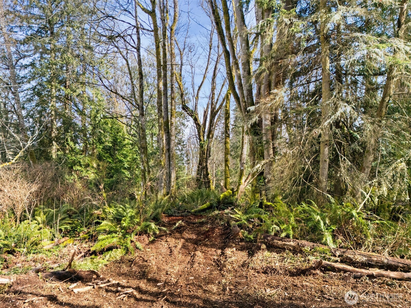 23300 Northeast Jefferson Point Road Kingston, WA 98346 - Photo 26 of 40