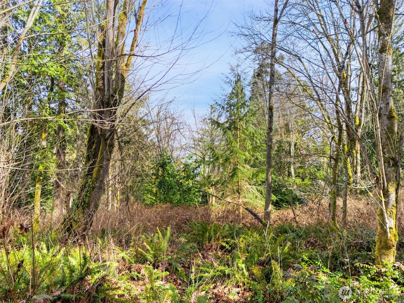 23300 Northeast Jefferson Point Road Kingston, WA 98346 - Photo 28 of 40