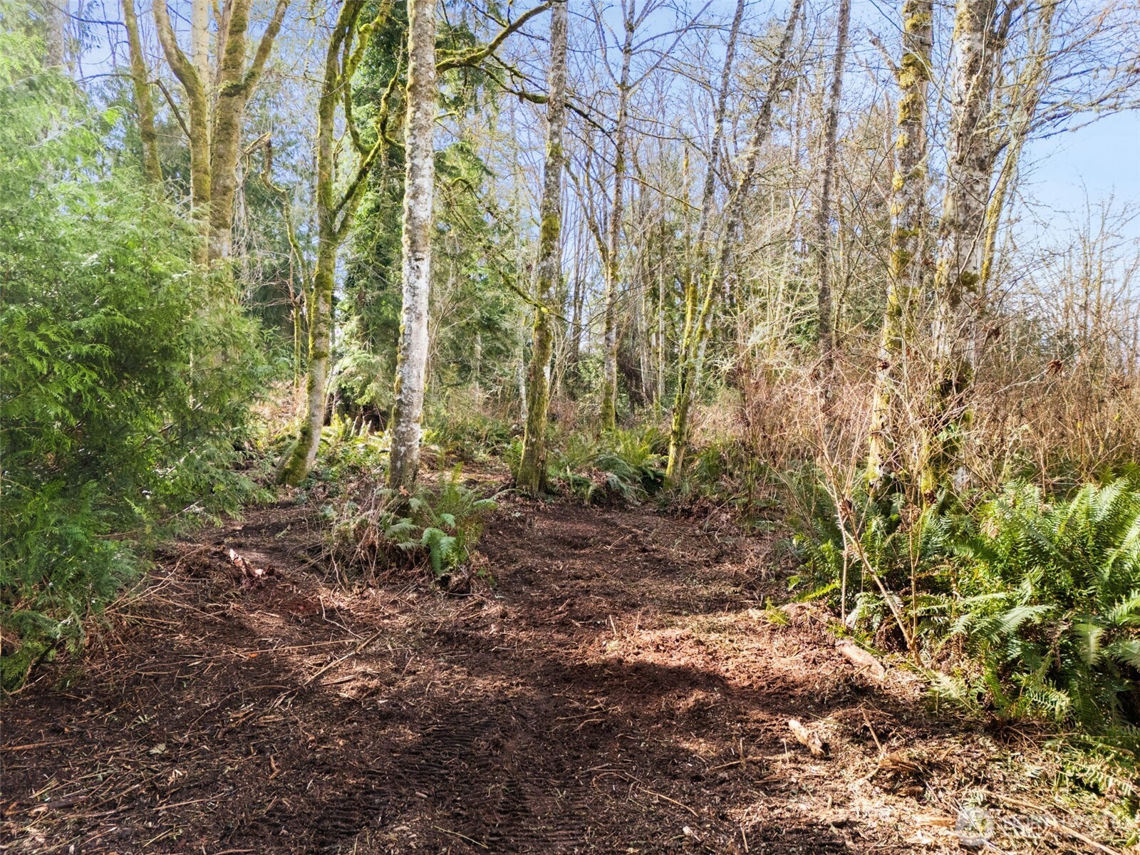 23300 Northeast Jefferson Point Road Kingston, WA 98346 - Photo 31 of 40