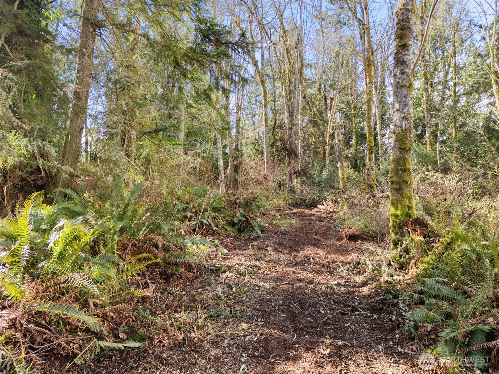 23300 Northeast Jefferson Point Road Kingston, WA 98346 - Photo 32 of 40