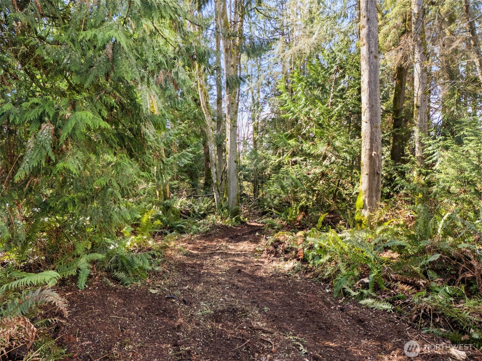 23300 Northeast Jefferson Point Road Kingston, WA 98346 - Photo 33 of 40