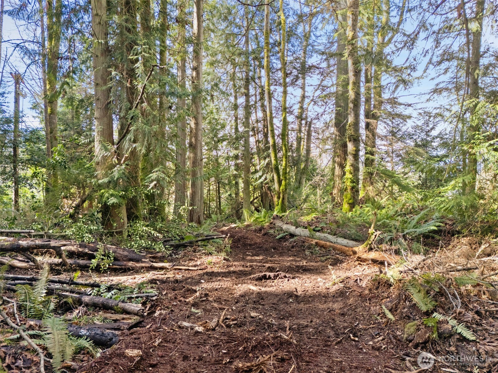 23300 Northeast Jefferson Point Road Kingston, WA 98346 - Photo 34 of 40