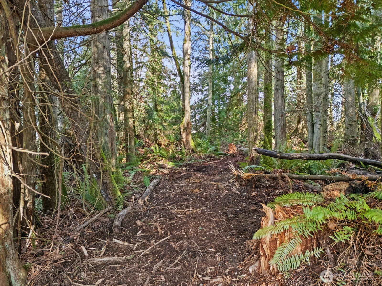 23300 Northeast Jefferson Point Road Kingston, WA 98346 - Photo 37 of 40