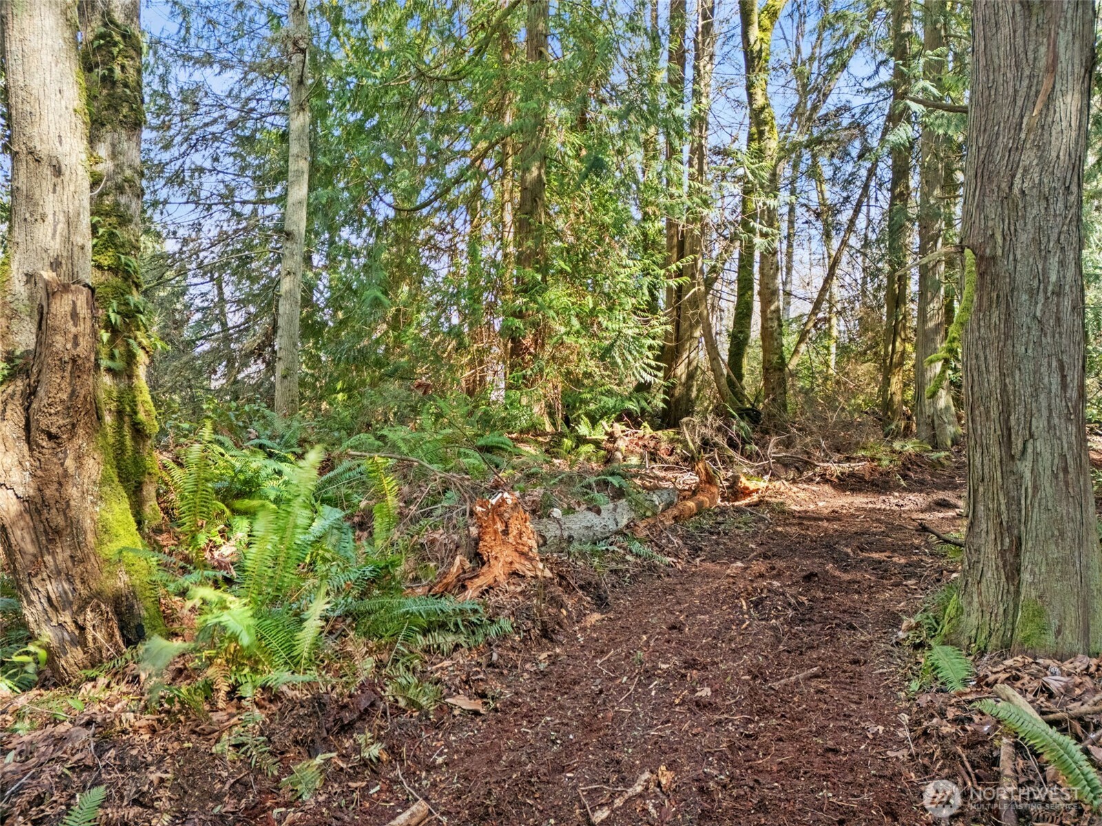 23300 Northeast Jefferson Point Road Kingston, WA 98346 - Photo 38 of 40