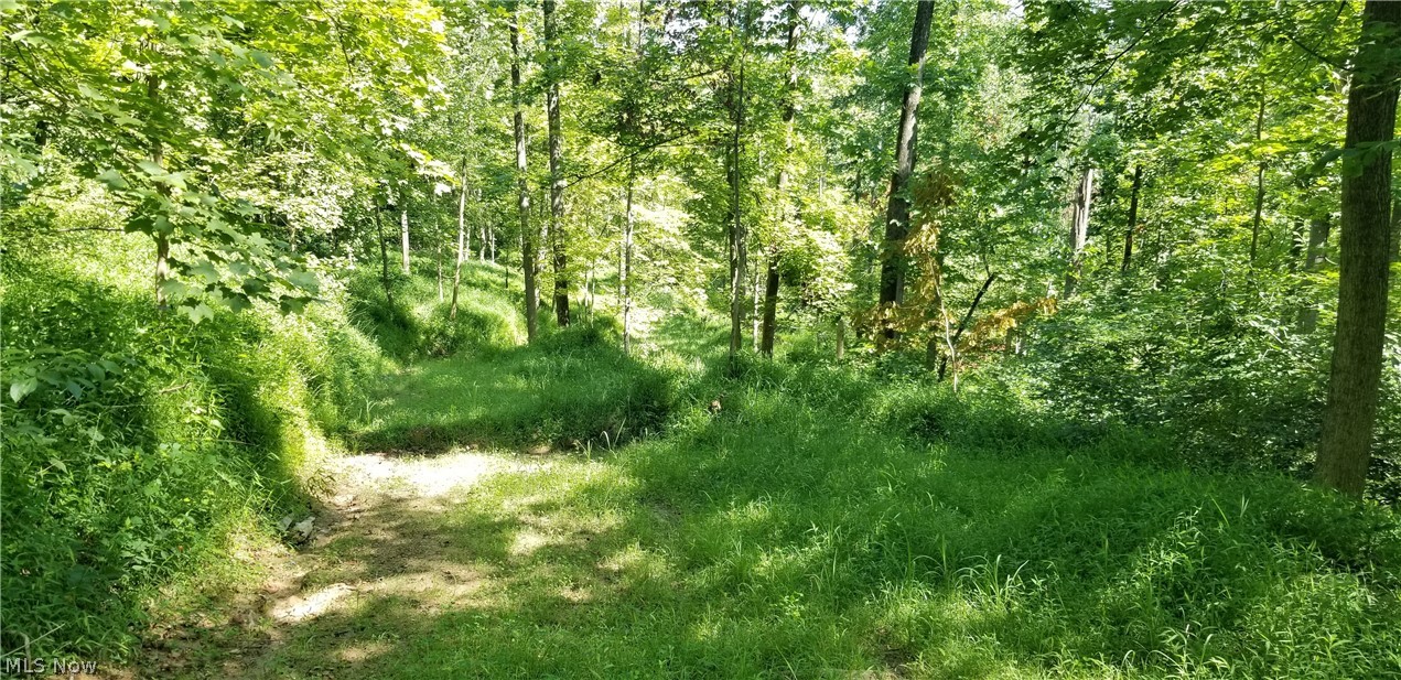 Narrows Road Dresden, OH 43821 - Photo 15 of 35
