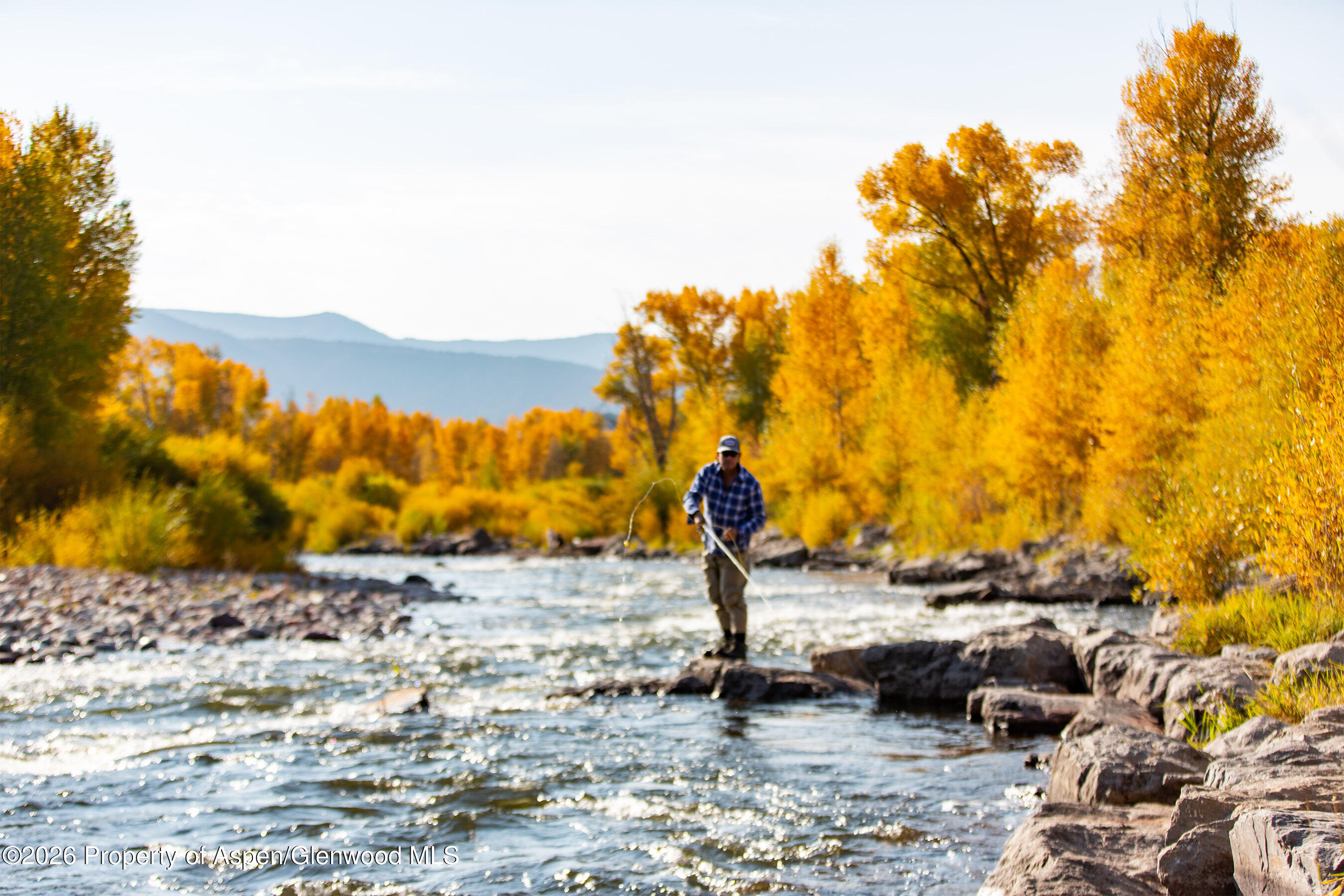 140 Basalt Center Circle, Unit 327 Basalt, CO 81621 - Photo 19 of 25 Fall colors along the Roaring Fork River