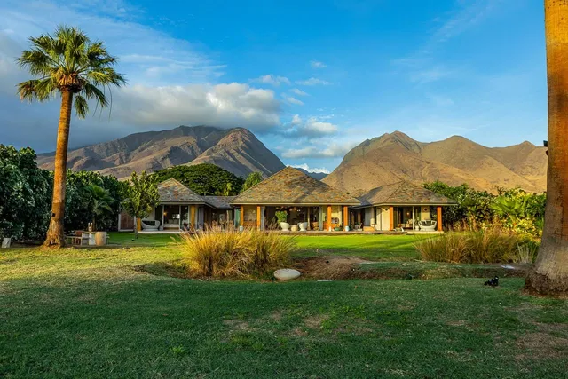 a view of potted plants