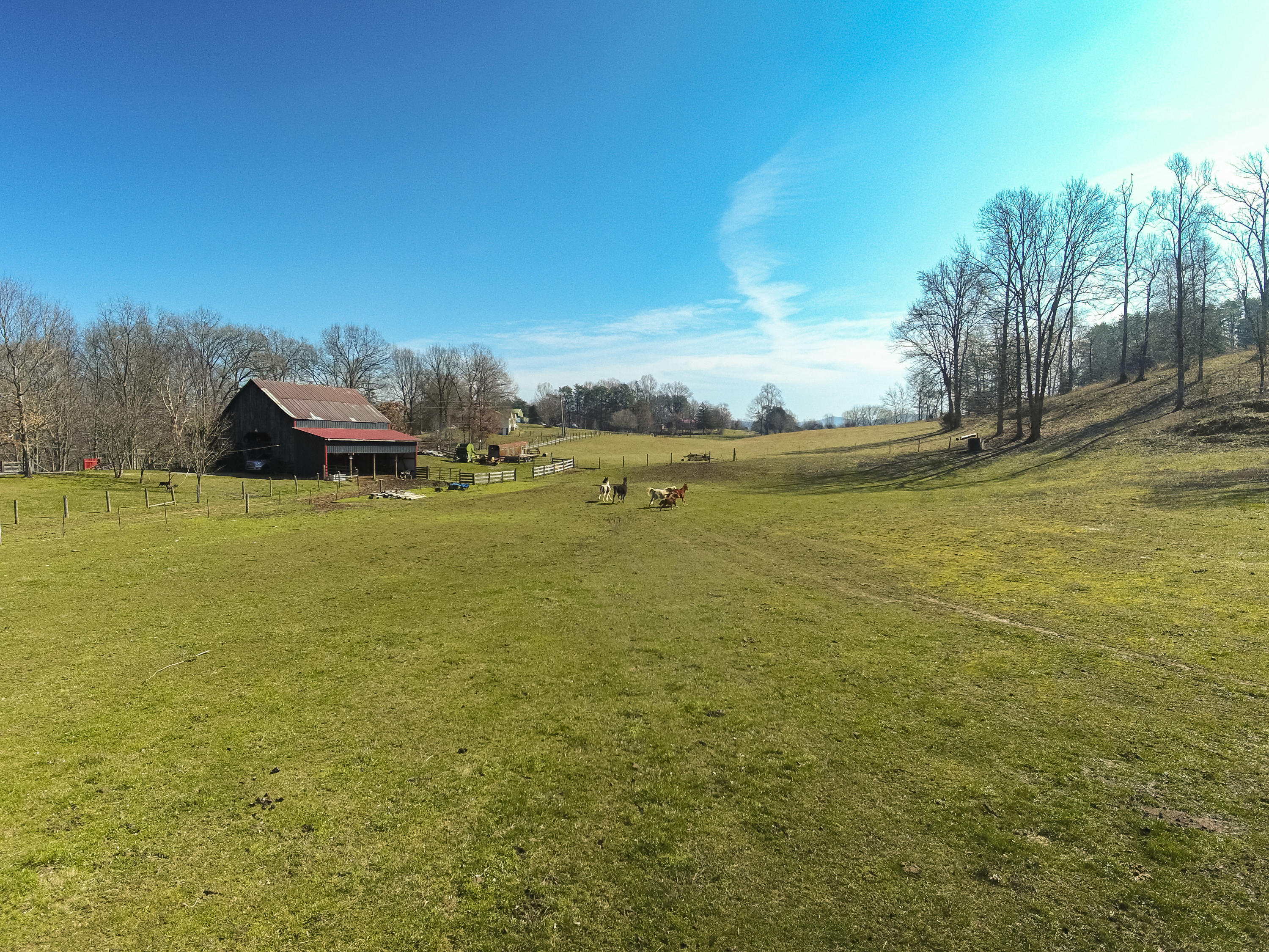 197 Rainbarrel Road Alpha, KY 42603 - Photo 24 of 83 Rainbarrel-0027