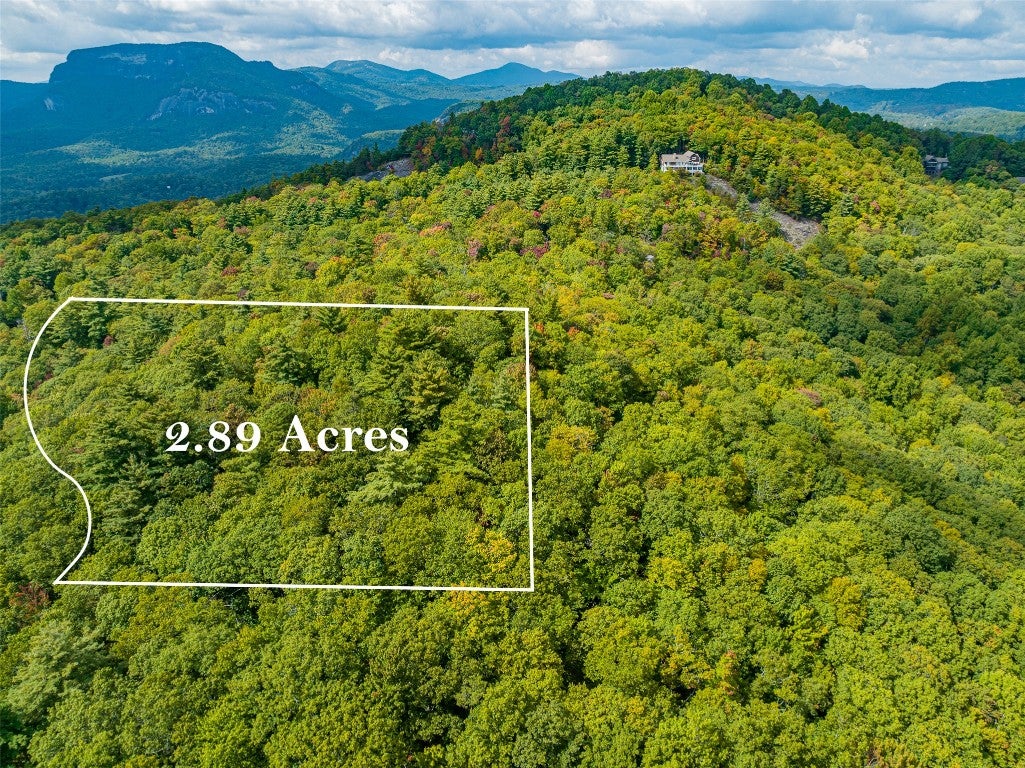 Lot 21 Southeast Ridge Road Cashiers, NC 28717 - Photo 1 of 10 Gallery Image 1