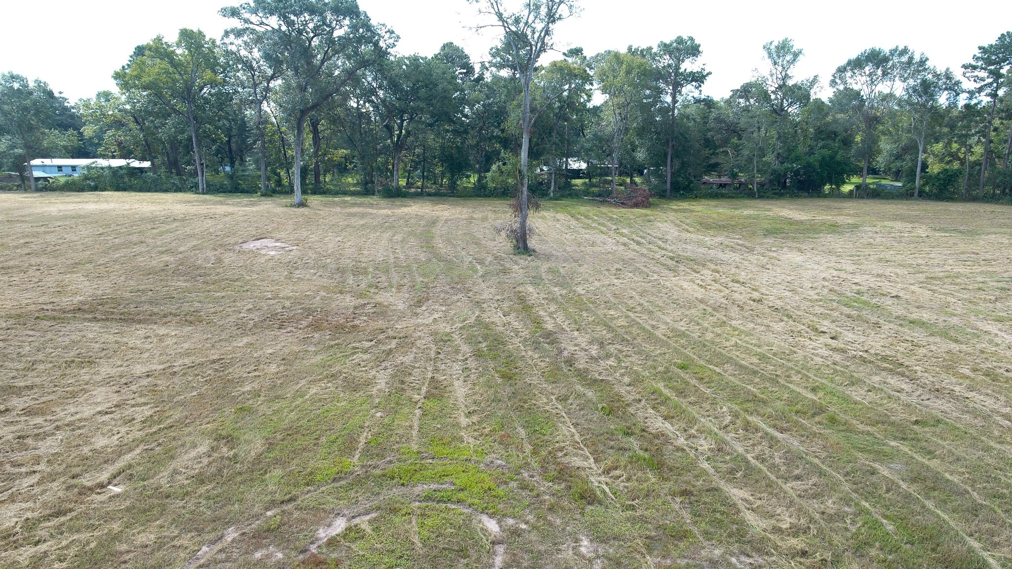 12075 Coon Hollow Road Conroe, TX 77306 - Photo 5 of 14 a view of outdoor space with trees