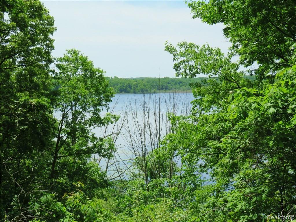 5590 Big Fish Lake Road Goodrich, MI 48438 - Photo 35 of 46 IMG_0060.JPG