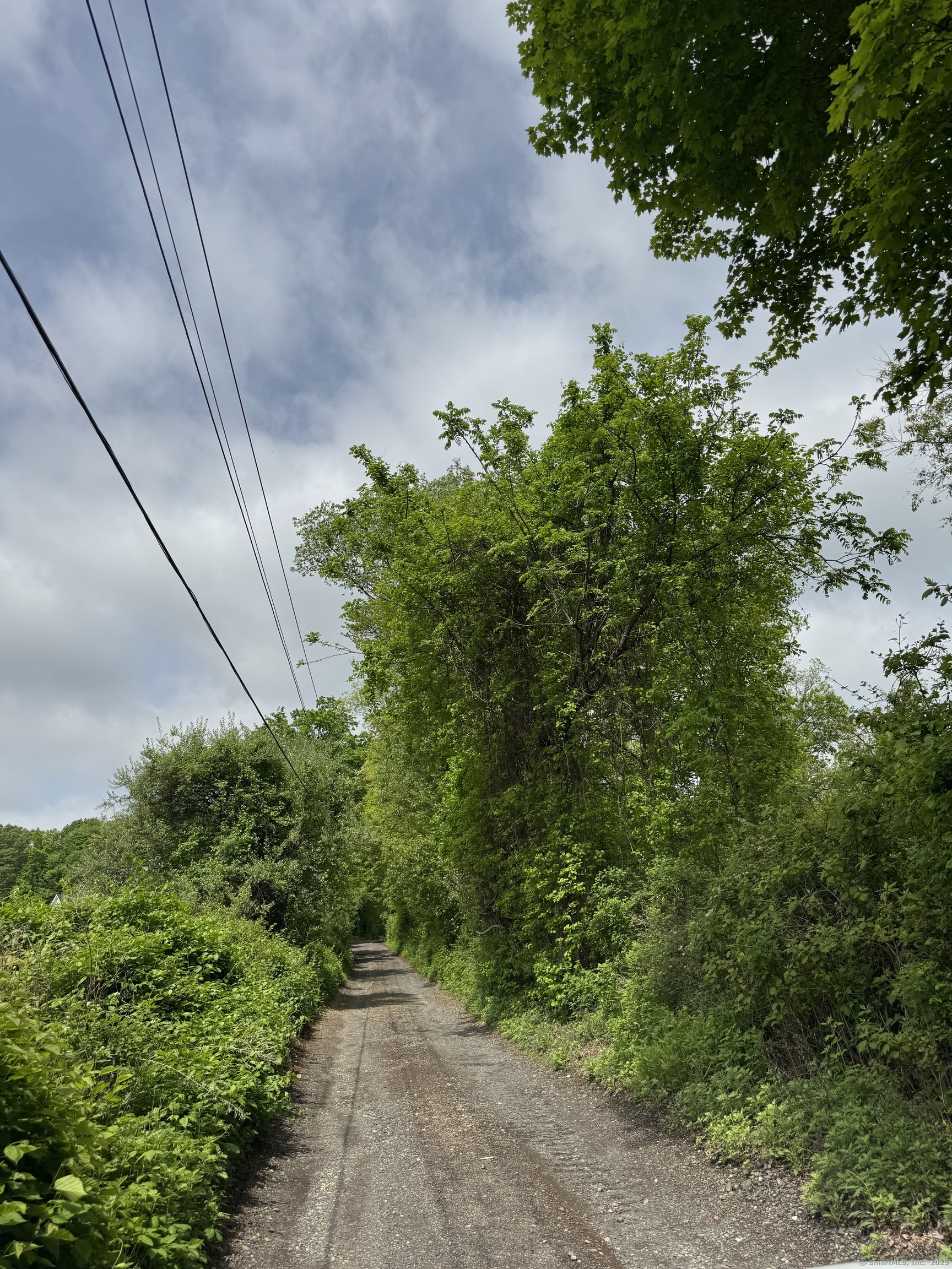 1731 Marion Road Cheshire, CT 06410 - Photo 25 of 26