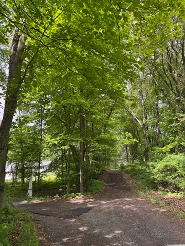 a view of a yard with plants and trees