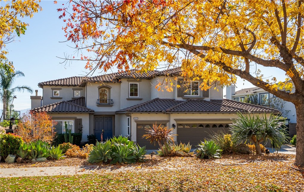a view of a house with a tree in front of it