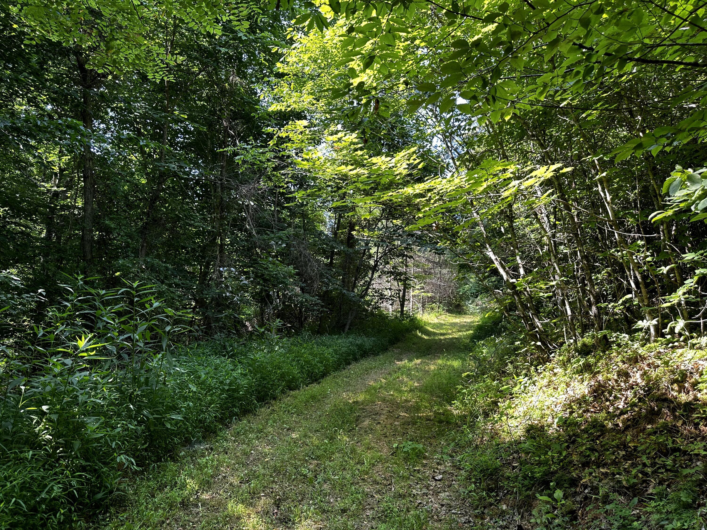 1101 Hull Road, Unit TRACT 9 WOODS WAYNE FOREST) Patriot, OH 45658 - Photo 15 of 61 20240621_144410123_iOS