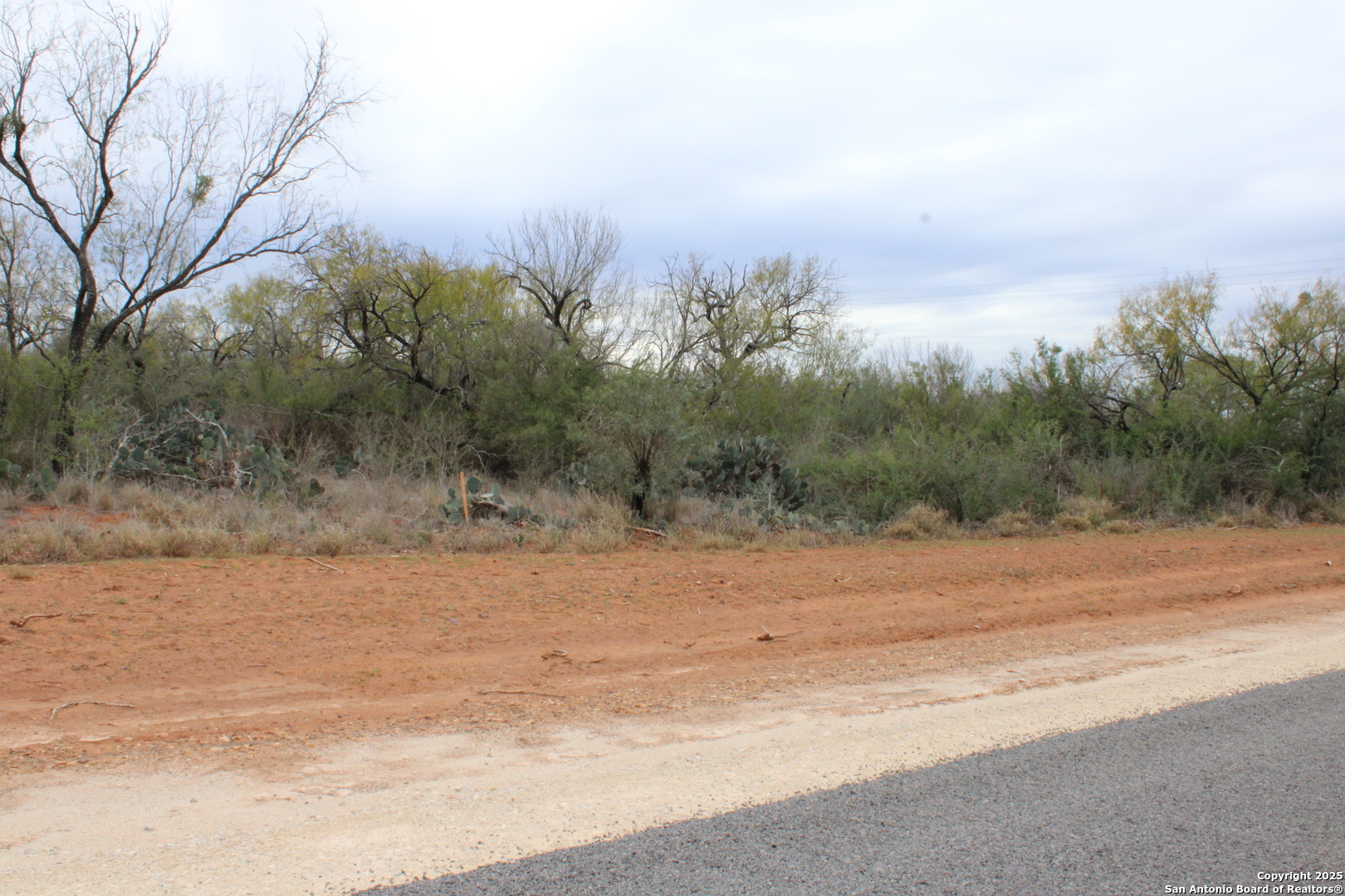 3435 County Road/main Street Pearsall, TX 78061 - Photo 2 of 7 a view of a beach with a large tree