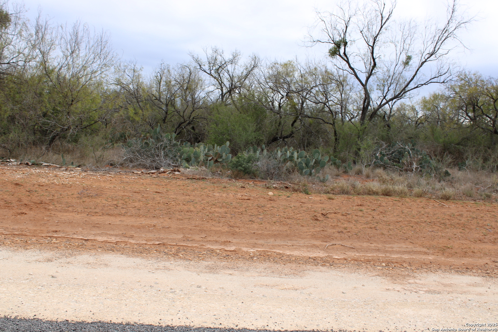 3435 County Road/main Street Pearsall, TX 78061 - Photo 5 of 7 a view of a dry yard with trees