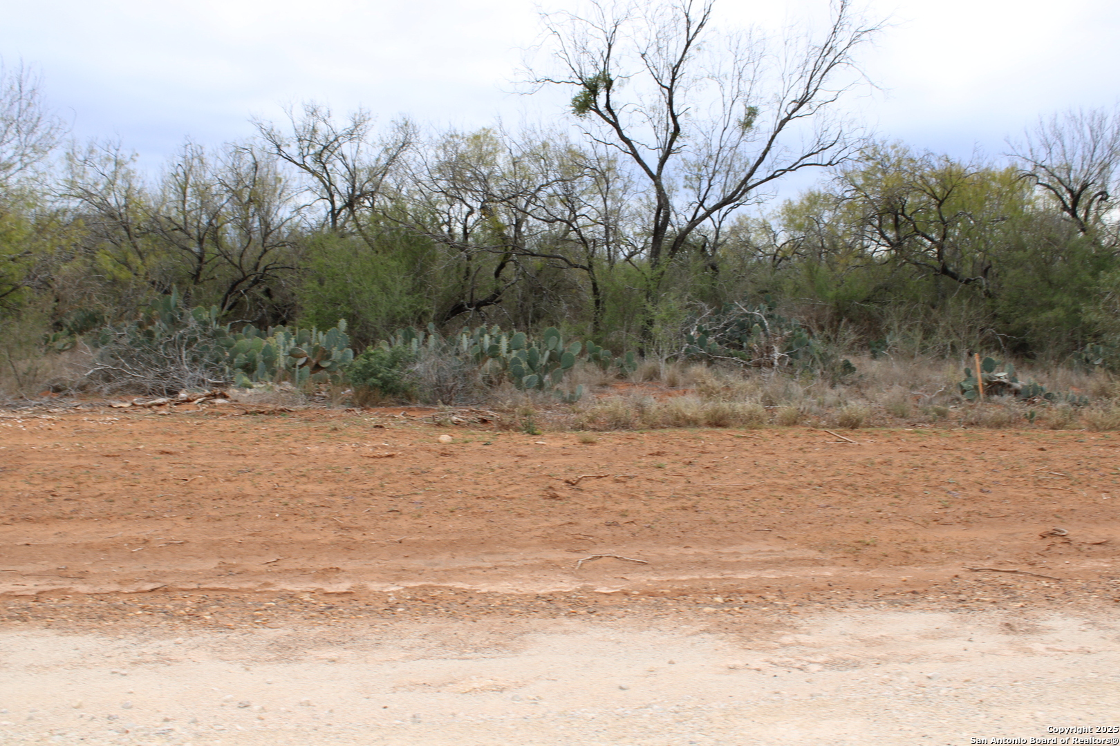 3435 County Road/main Street Pearsall, TX 78061 - Photo 7 of 7 a view of a dry yard with trees