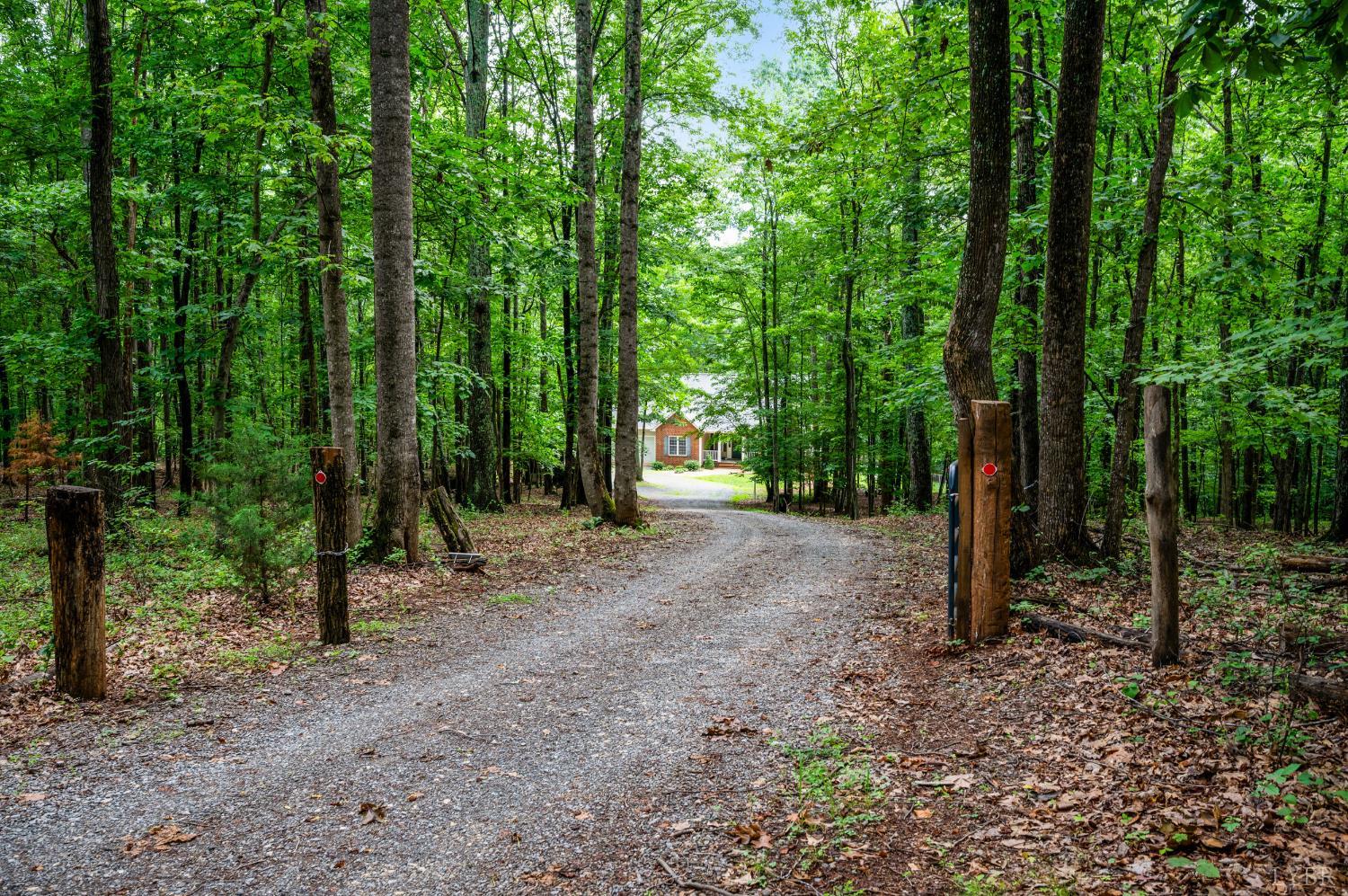 429 Matohe Road Monroe, VA 24574 - Photo 3 of 73 a view of a forest with trees in the background