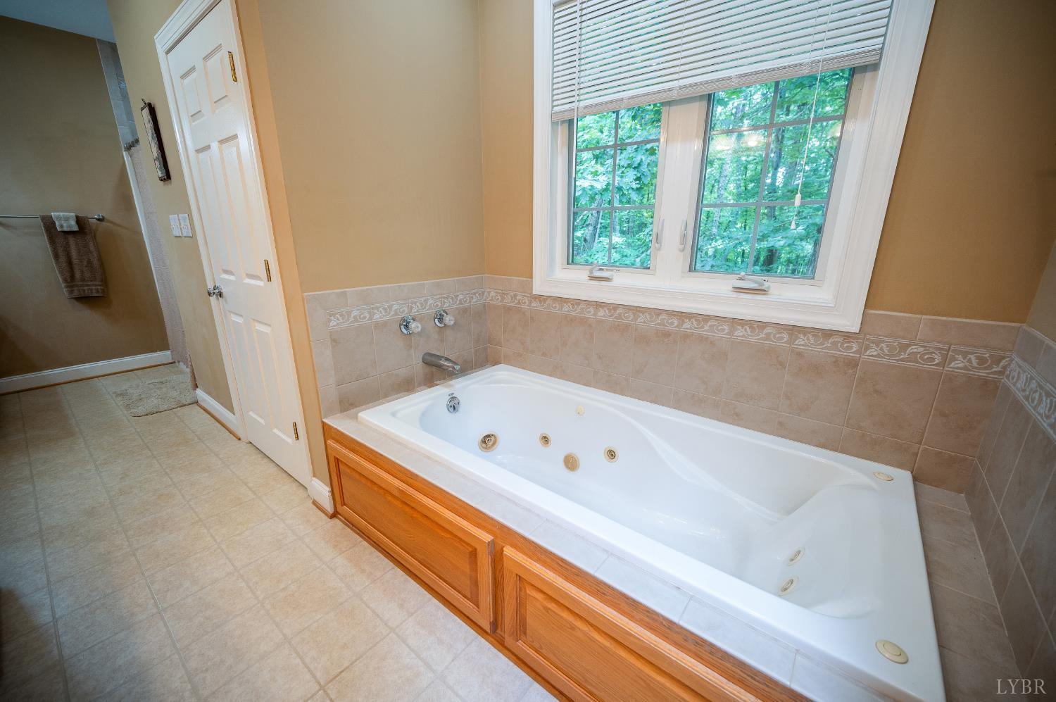 429 Matohe Road Monroe, VA 24574 - Photo 34 of 73 a bathroom with a bathtub and a window